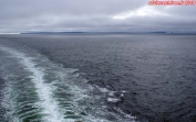 Passée l'île des Etats, à l'horizon, le navire entame un virage à droite et se dirige vers le Cap Horn.