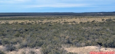 Péninsule Valdés, Patagonie Argentine.<br>Le climat est très sec, et la péninsule est totalement dépourvue d'arbres.<br>Cela donne un paysage assez déprimant.