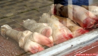 Punta Arenas, Détroit de Magellan, Chili.<br>Vitrine d'une boucherie. On ne s'inquiète pas trop de la température de la viande...