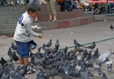Santiago du Chili, Plaza de Armas.<br>C'est l'heure du repas des pigeons. Au menu, un enfant !