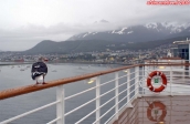Ville d'Ushuaia, Terre de Feu, Patagonie argentine.<br>Une mouette locale est venue accueillir le <i>Celebrity Infinity</i>...