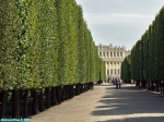 Château de Schnbrunn, Vienne, Autriche.<br>Une allée des jardins.