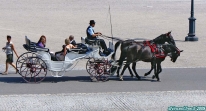 Château de Schnbrunn, Vienne, Autriche.<br>Le côté romantique de la visite: une promenade en calèche.