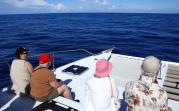 On a bien vu quelques dauphins, mais il fait être plus rapide que Lucky Luke pour les photographier.<br>Quant aux baleines, c'est notre guide qui en parle le mieux: <i>every day is fishing day, but every day is not catching day !</i> T'aurais pas pu le dire avant ?