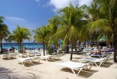 Vous vous les gelez sévère en France ?<br>Nous avons la solution: fixez cette image de Mambo Bay, sur l'ile de Curaçao, pendant 60 secondes, puis fermez les yeux.<br>Vous entendrez alors le bruit des vagues, et sentirez le soleil des tropiques sur votre peau.<br>Attention, tout abus pourrait entraîner des brûlures sévères !