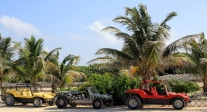 [no_rights] Ile de Cozumel, au Mexique.<br>Nos buggys se reposent, avant de reprendre la piste.<br>Nous avons le jaune, atteint d'un strabisme convergent.
