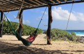 [no_rights] Ile de Cozumel, au Mexique.<br>Il faut mettre à jour le journal de croisière sur le Web ? Dans une autre vie, peut-être...