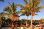 [no_rights] Coucher de soleil sur la plage de Las Palmas, île de Roatan, Honduras.<br>