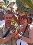 Saint Kitts et Nevis.<br>Les Singes verts ont été importés d'Afrique avec les esclaves.<br>Ils se sont multipliés et constituent une vraie calamité pour les plantations de canne à sucre.<br>Nous, on en a carrément par dessus la tête...