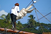 Sainte Lucie, aux Antilles.<br>Après les <i>Tortues Ninjas</i>, voici maintenant les... Pirates Rastas !
