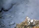 Sainte Lucie, aux Antilles.<br><i>Sulphur Springs</i>: des gisements de soufre et de sulfure d'hydrogène (H<sub>2</sub>S).<br>L'odeur d'oeuf pourri est absolument épouvantable. Mais notre guide insiste sur le côté positif: au moins, il n'y a ni moustiques, ni serpents !<br>Ah bon, dans ce cas...
