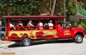Île de Tortola (Îles vierges britanniques)<br>Taxi touristique.