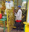 Port of Spain, île de Trinidad.<br>Pour chasser la soif, rien de tel qu'une bonne noix de coco, achetée à un vendeur ambulant !