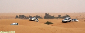 Dubaï Desert Conservation Reserve, Emirats Arabes Unis.<br>Les safaris ont lieu en convoi. On se sent moins seul...
