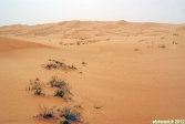 Dubaï Desert Conservation Reserve, Emirats Arabes Unis.<br>Du sable à perte de vue. Et si on est perdu, on n'a même pas une boîte de <i>Kiss Cool</i> pour nous fournir un plan du désert !