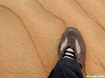 Dubaï Desert Conservation Reserve, Emirats Arabes Unis.<br>Le vent modèle constamment le sable, laissant le visiteur croire qu'il est le premier à fouler le sol du désert.<br>Remarquez la finesse du sable: il entre non seulement dans les chaussures, mais aussi dans les chaussettes. Que du bonheur...