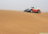 Dubaï Desert Conservation Reserve, Emirats Arabes Unis.<br>Le long de la crête d'une dune, on a un peu tendance à glisser, et à partir en crabe.