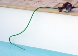 16 MAI 2008.<br>La pression de l'eau anime le tuyau de remplissage, tel un naja sous le contrôle d'un charmeur de serpents. Bidule se demande comment faire pour attaquer cette bestiole sans se mouiller !