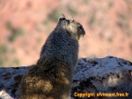 Grand Canyon du Colorado.<br>Incroyable: la Caisse d'Epargne a même une agence là bas !