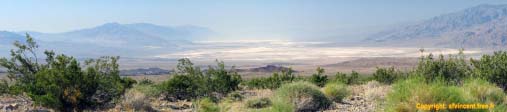Panorama sur Death Valley. La couleur blanche est due au sel.