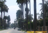 Beverly Hills, en approche de Sunset Boulevard.