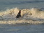Surfer sur les vagues de Santa Monica.