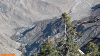 [no_rights] <i>Aerial Tramway</i>, Palm Springs, Californie.<br>La route qui mène à la station inférieure du téléphérique présente une pente très importante.
