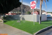 [no_rights] Ville de Palm Springs, Californie.<br>Pour avoir de la verdure dans un désert, pas de mystère, de l'arrosage automatique...