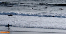 [no_rights] Baie de La Jolla, près de San Diego, Californie.<br>Les surfers sont aux anges.