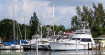 Key Largo.<br>Les Keys, c'est le royaume de la plongée et de la pêche.<br>La pêche au gros, of course ! Les bateaux sont équipés en conséquence...