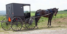 Pennsylvanie, Etats-Unis.<br>Un chariot amish.