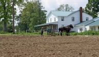 Pennsylvanie, Etats-Unis.<br>Fermiers amish.<br><font size=-1>Cliché pris en voiture: présence d'un flou de bougé...</font>