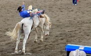 [no_rights] Ville de Cody, Wyoming, Etats-Unis.<br>Stampede Park, Spectacle de Rodéo.
