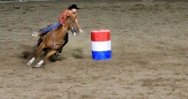 [no_rights] Ville de Cody, Wyoming, Etats-Unis.<br>Stampede Park, Spectacle de Rodéo.<br><i>Barrel Racing</i>, slalom entre des tonneaux.