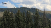 [no_rights] Parc national de Grand Teton, Wyoming, Etats-Unis.<br>Un A319 de <i>Frontier Airlines</i> en approche de l'aéroport de Jackson.<br>C'est pas avec un boucan pareil qu'on pourra observer des élans.