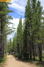 [no_rights] Ville minière fantôme de Coolidge, Montana, Etats-Unis.<br>Il faut laisser la voiture à environ 1500 mètres de la ville, et continuer à pied, sur un chemin forestier très agréable.