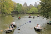[no_rights] New York City, Central Park Lake.<br>Dans chaque barque, un homme rame et sa chérie profite de ce moment romantique.<br><br>Deux jeunes filles tentent désespérément d'avancer.<br><li>Chacune tient une rame: pas facile pour coordonner efficacement les mouvements.</li><li>Elles rament dans le mauvais sens !</li>On va encore me traiter de misogyne...