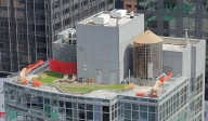 [no_rights] New York City, terrasse d'un immeuble de la 7ème avenue.<br>Etonnants, ces espaces de verdure et de soleil, dans un monde de verre, de béton et d'ombre.