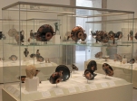 [no_rights] New York City, Metropolitan Museum of Art.<br>Vases grecs. Les écritaux précisent qu'ils sont de plus de 2000 ans avant la crise de la dette...