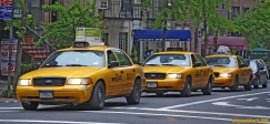 NEW YORK.<br>Taxis sur la trente neuvième rue.