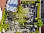 New York.<br>Les terrasses des immeubles sont des coins de paradis dans la jungle urbaine.<br>Ce cadre nourrit ses poissons rouges avant d'aller embaucher, ça détend...