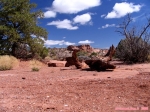 CANYONLANDS.<br>Partout où se porte le regard, au loin comme au près, on a l'impression magique de voir des cartes postales vivantes. C'est beau, c'est beau et c'est beau. Au fait, vous a-t-on déjà dit que c'était beau ?