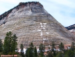 Parc national de Zion.<br><i>Checker Board Mesa</i> (La montagne en damier).<br>Cette montagne se trouve en bordure de la <i>Mount Carmel Highway</i>.<br>Les fissures forment bel et bien un damier.<br>Notez les restes de neige, toujours présents au début du mois d'avril.