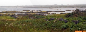 Paysage irlandais, dans le Connemara.
