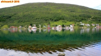 [no_rights] Environs de l'île de Sommary, Norvège.<br>On a l'impression d'être en altitude, au bord d'un lac de montagne.<br>Les cris des mouettes nous ramènent à la réalité: nous sommes au bord d'un fjord, c'est de l'eau de mer.