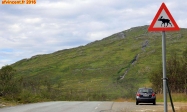 [no_rights] Environs de la ville de Troms, Norvège.<br>Certains panneaux routiers sont inhabituels, mais justifiés.