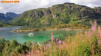 [no_rights] Région de Vestbygda, îles Lofoten, Norvège.<br>Par endroits, la couleur de l'eau fait penser à un lagon tropical.<br>Sa température a vite fait de ramener le rêveur à la réalité.