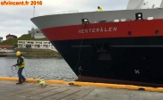 [no_rights] Port de Honningsvg, île de Magerya, Norvège.<br>Arrivée du navire Express Côtier <i>Vesterlen</i>.<br>Le lamaneur se fait aider par son chien pour attraper la touline: rires du public assurés !